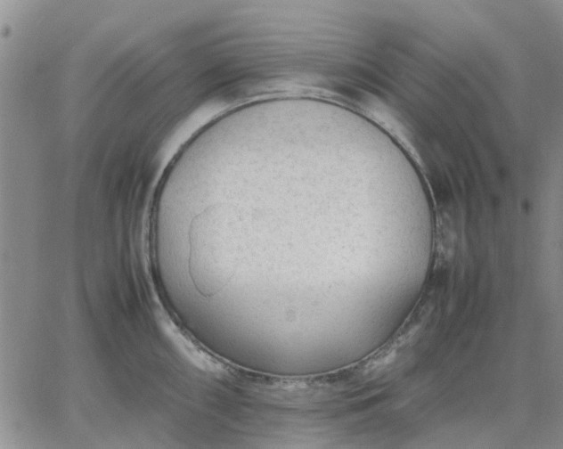 X0000064731098200602171635