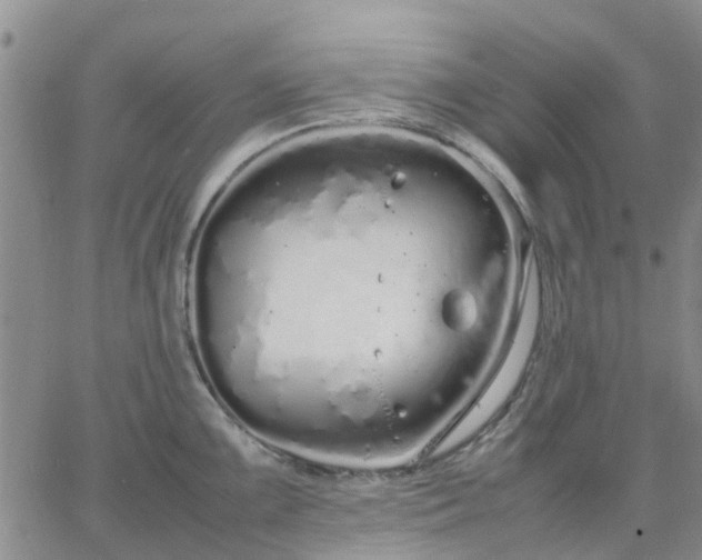 X0000064731099200602171635