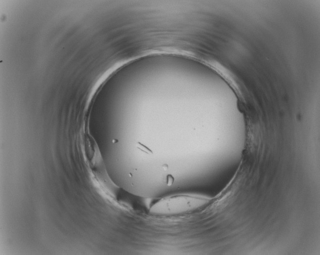 X0000064731100200602171635