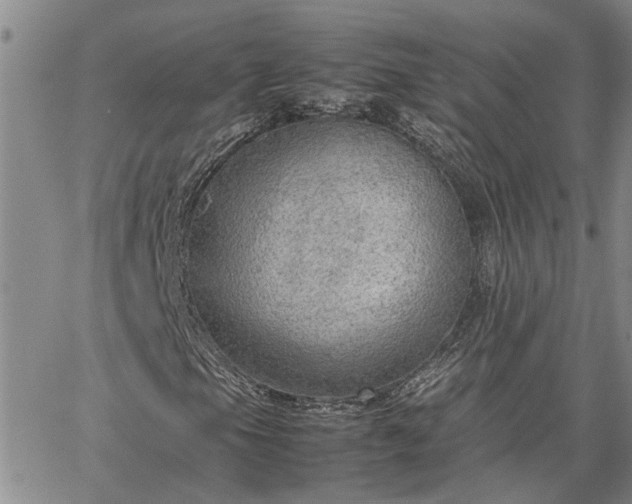 X0000064731105200602171634