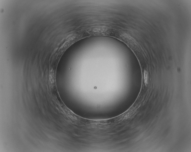 X0000064731107200602171634