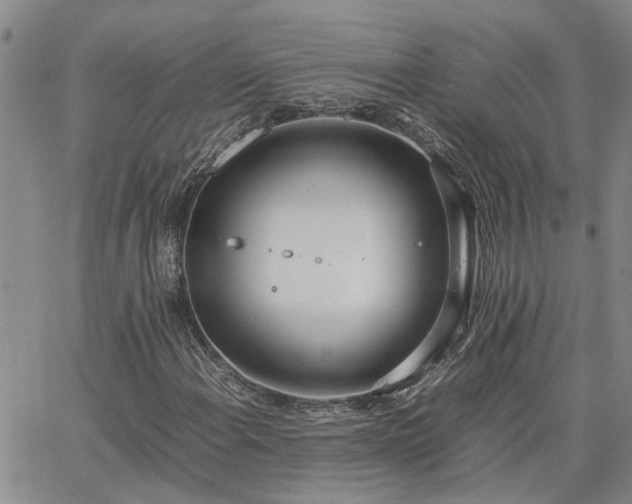 X0000064731108200602171634