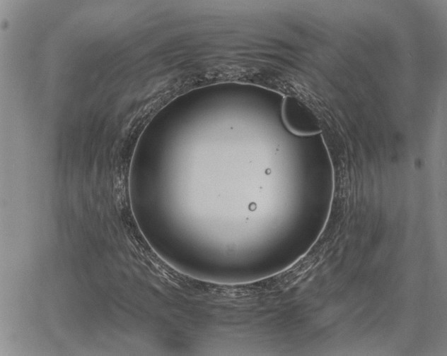 X0000064731109200602171634