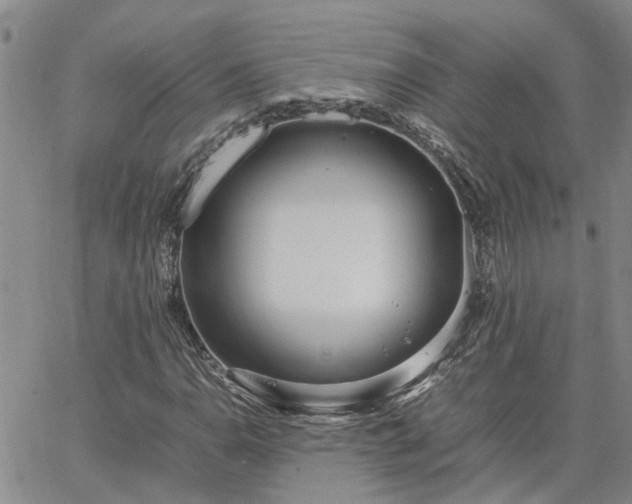 X0000064731110200602171634