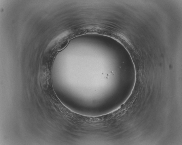 X0000064731111200602171634