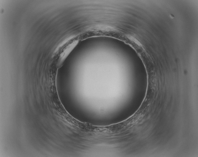 X0000064731112200602171634