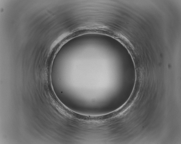 X0000064731114200602171634