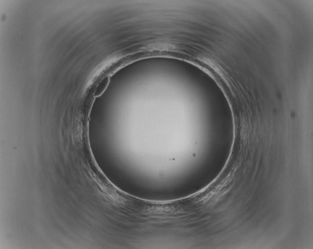 X0000064731115200602171634