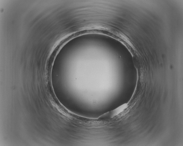 X0000064731116200602171634