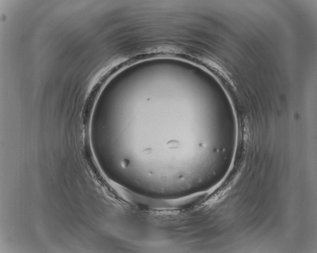 X0000064731117200602171634