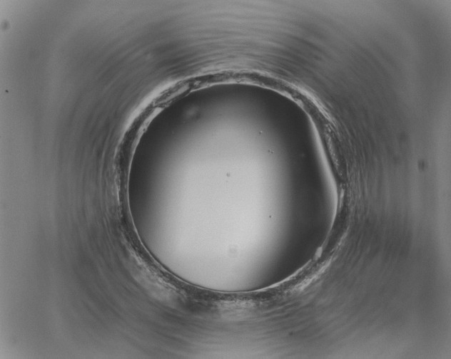 X0000064731118200602171634