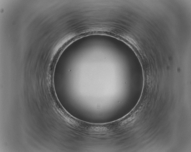 X0000064731119200602171635