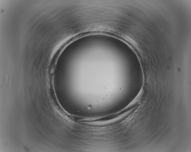 X0000064731120200602171635