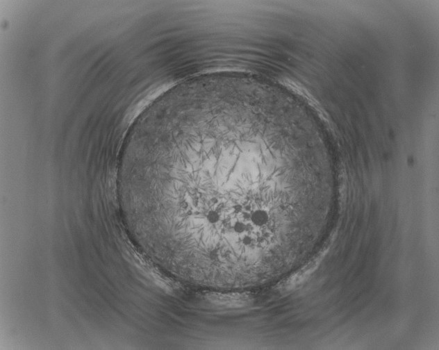 X0000064731121200602171635