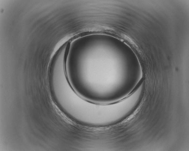 X0000064731122200602171635