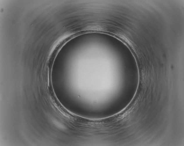 X0000064731123200602171635