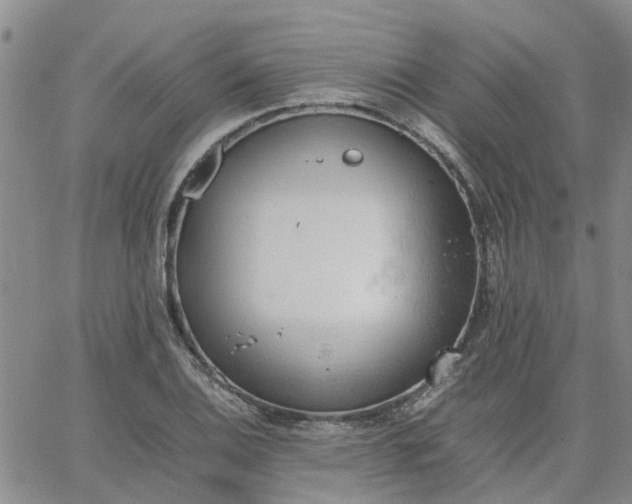 X0000064731124200602171635