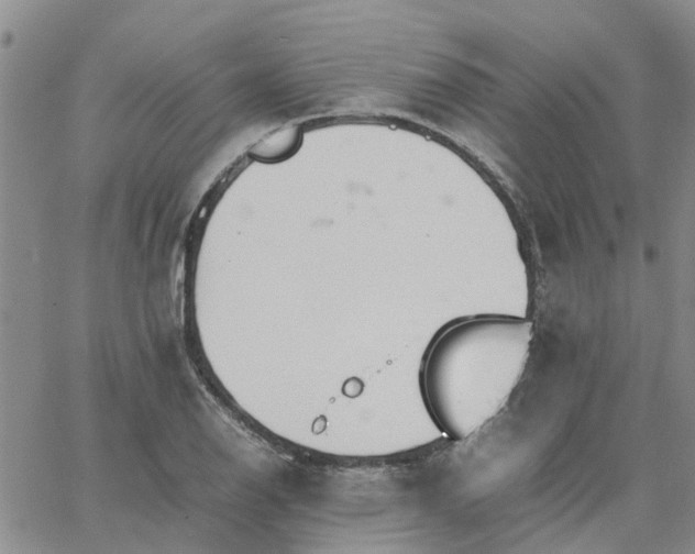 X0000064731126200602171635