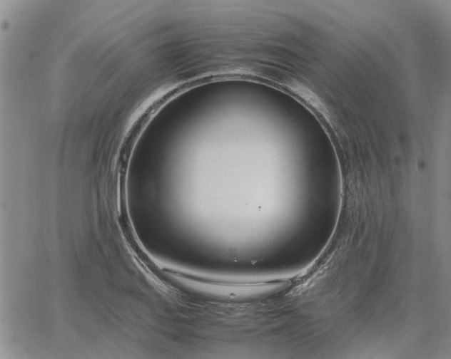 X0000064731127200602171635