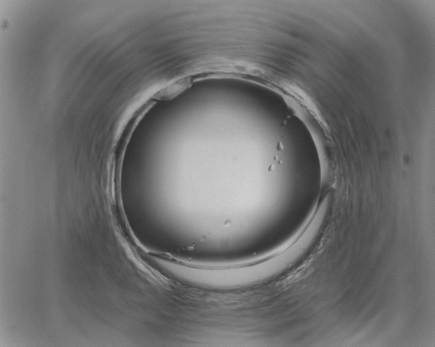 X0000064731128200602171635