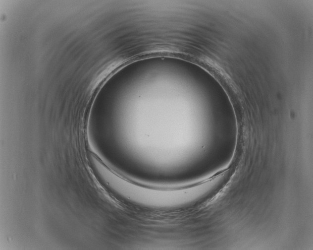 X0000064731129200602171635