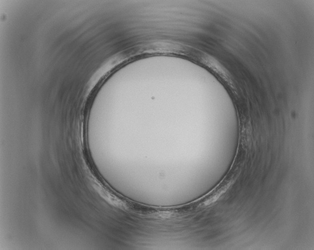 X0000064731130200602171635