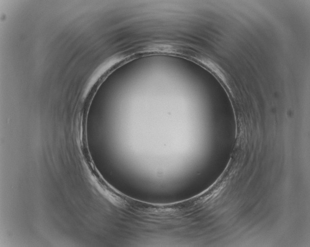 X0000064731131200602171635