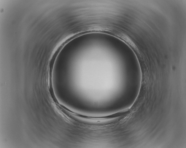 X0000064731132200602171635