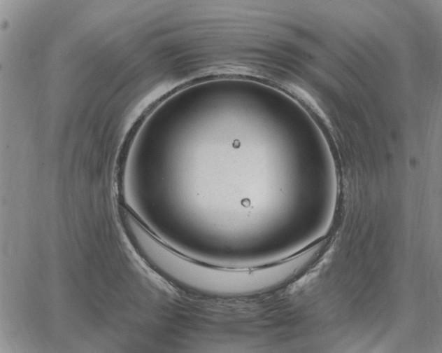 X0000064731133200602171635