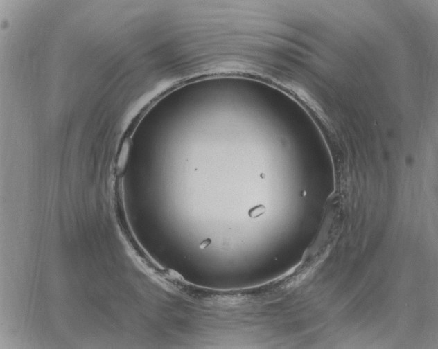 X0000064731134200602171635