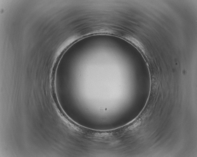 X0000064731135200602171635