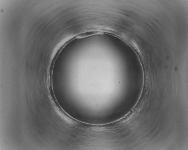 X0000064731136200602171635