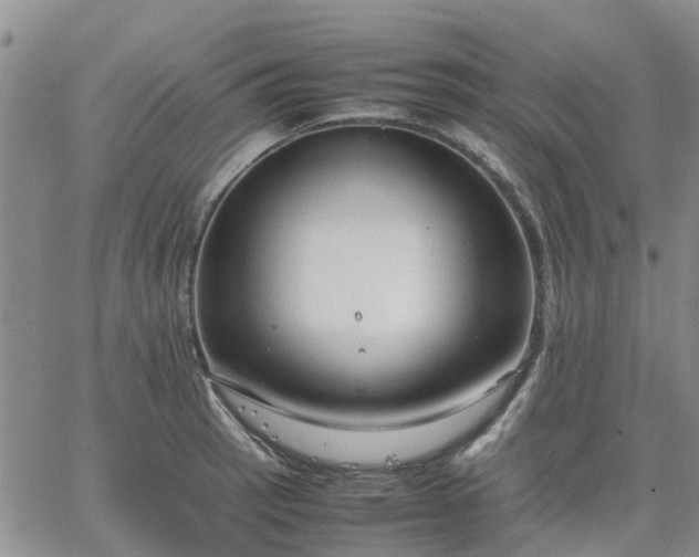 X0000064731137200602171635