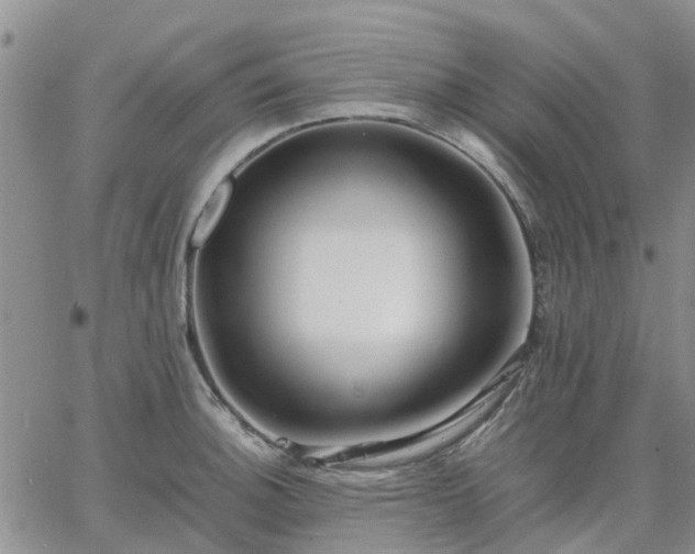 X0000064731140200602171635