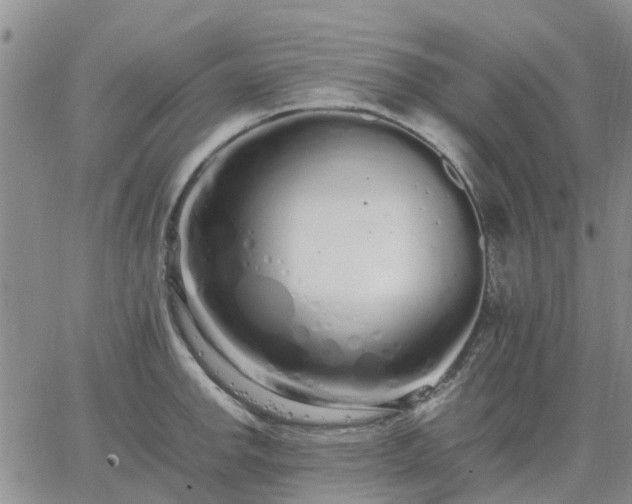 X0000064731142200602171635