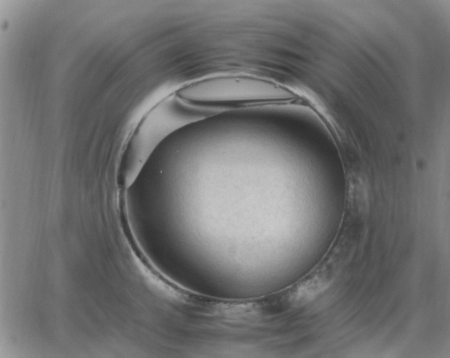 X0000064731143200602171635