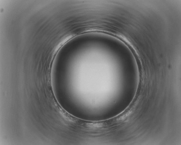 X0000064731145200602171635