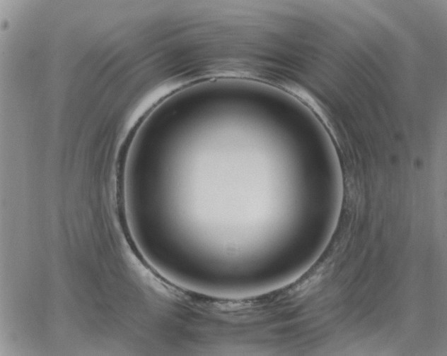 X0000064731147200602171635