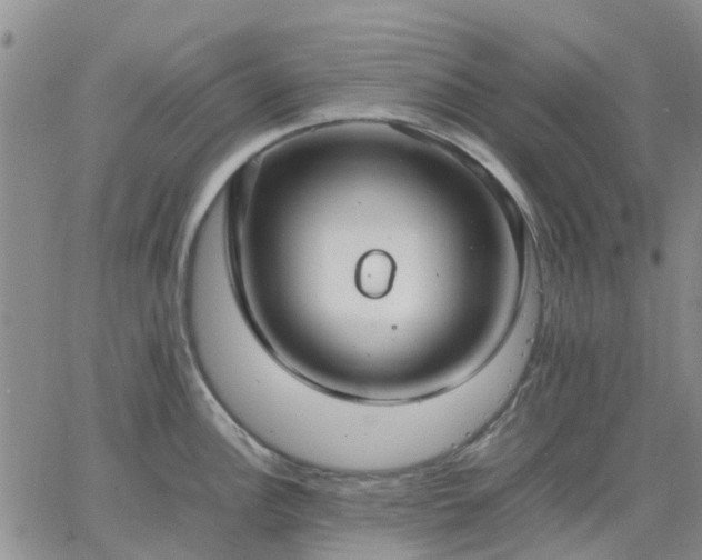 X0000064731148200602171635