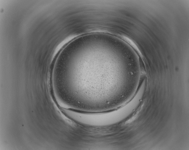 X0000064731149200602171635