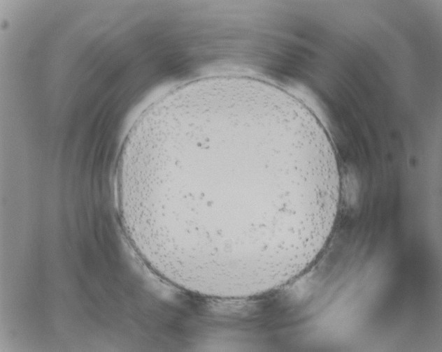 X0000064731150200602171635