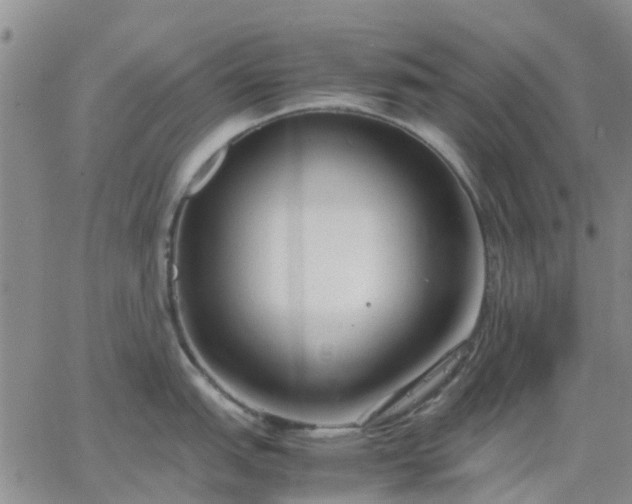 X0000064731151200602171635