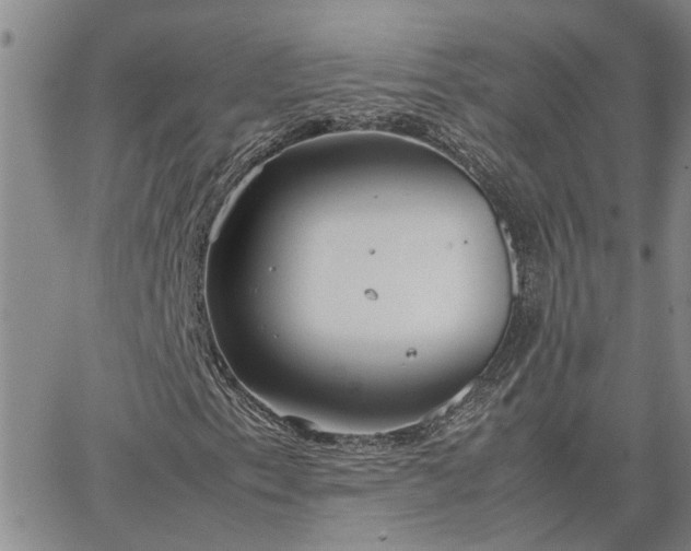 X0000064731153200602171634