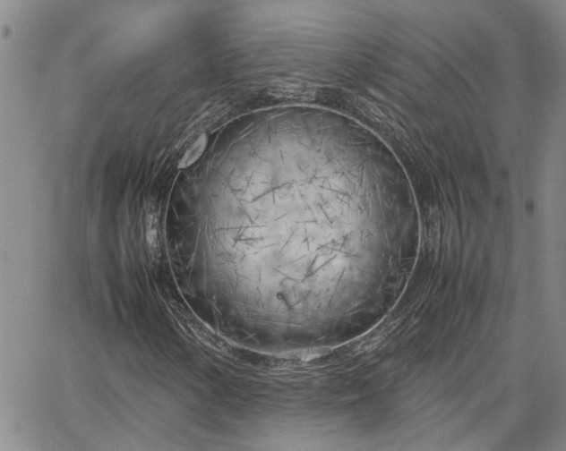 X0000064731154200602171634