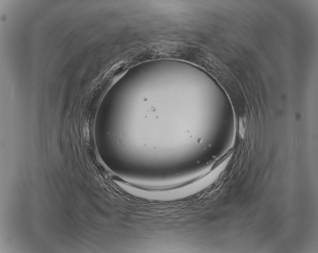 X0000064731155200602171634