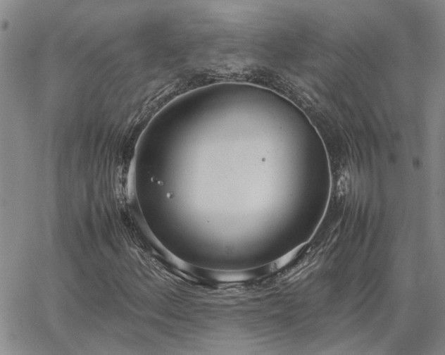 X0000064731156200602171634