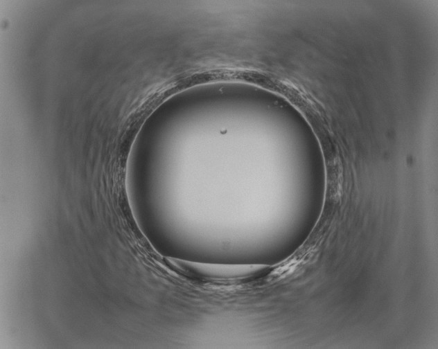 X0000064731157200602171634