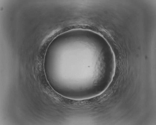 X0000064731159200602171634