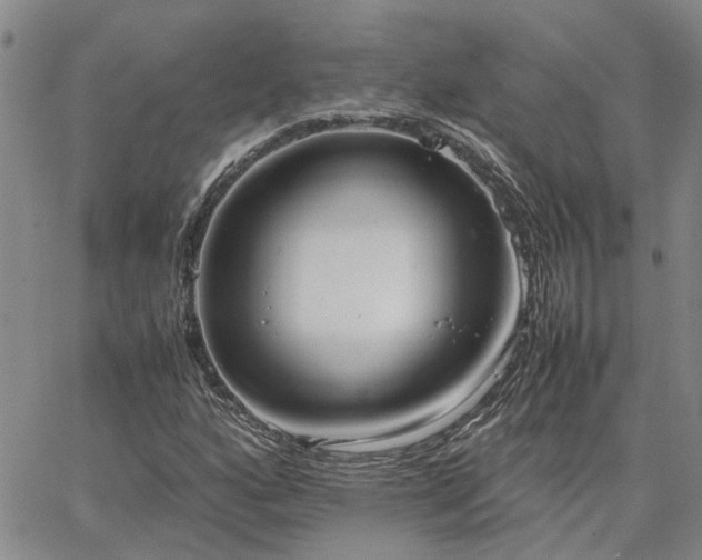 X0000064731160200602171634