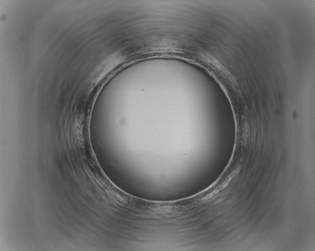 X0000064731162200602171634